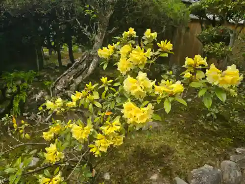 室生寺(奈良県)