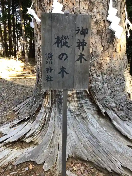 滑川神社 - 仕事と子どもの守り神の自然