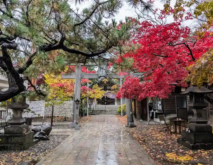 彌彦神社 (伊夜日子神社)の鳥居
