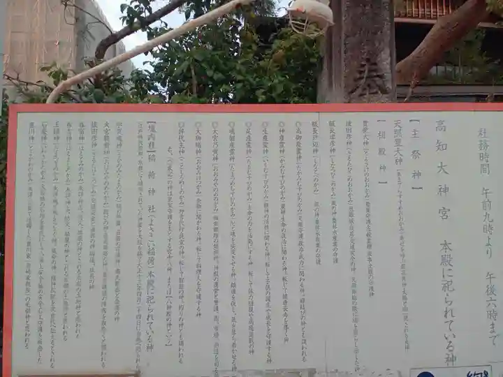 高知大神宮の歴史