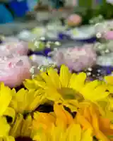 札幌諏訪神社の手水舎