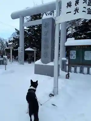 新琴似神社の鳥居
