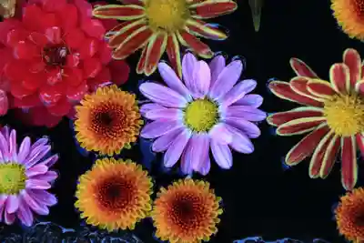 大鏑神社の手水舎