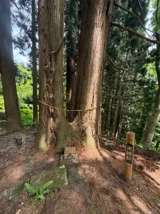 大山祇神社(福島県)