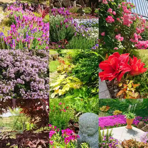 寿量山　速成寺の自然