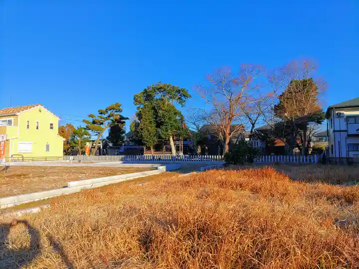稲荷社(上条)の自然