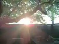 岡山戎神社のその他建物