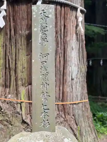 河口浅間神社(山梨県)