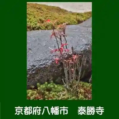 松花堂 泰勝寺(京都府)