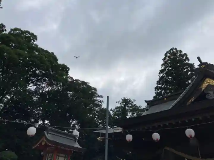 大生郷天満宮(茨城県)
