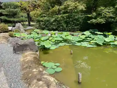 西芳寺(京都府)