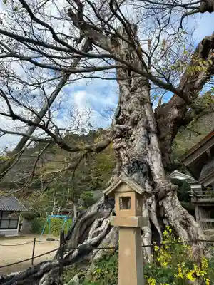神魂伊能知奴志神社(島根県)