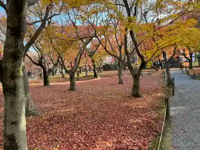 東福禅寺(東福寺)(京都府)