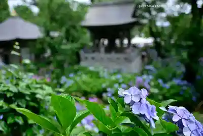 妙楽寺(神奈川県)