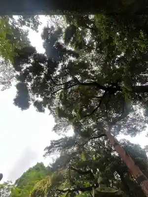 唐澤山神社(栃木県)