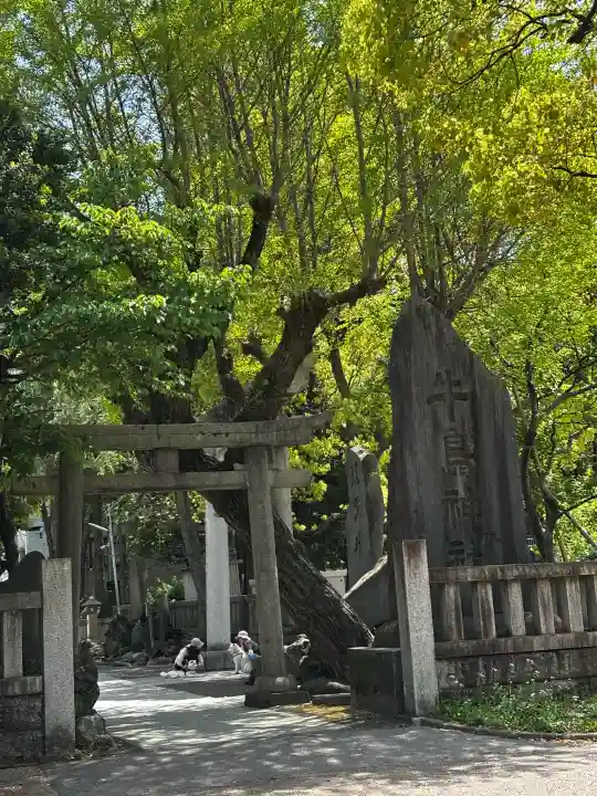 牛嶋神社の{uncategorized: "未分類", other: "その他", undefined: "問題あり", building: "その他建物", grave: "お墓", sacred_gate: "鳥居", guardian: "狛犬", statue: "像", buddha: "仏像", history: "歴史", nature: "自然", garden: "庭園", animal: "動物", pagoda: "塔", temizu: "手水舎", mountain_gate: "山門・神門", sanctuary: "本殿・本堂", subordinate: "末社・摂社", art: "芸術", scenery: "景色", jizo: "地蔵", ema: "絵馬", goshuin: "御朱印", omikuji: "おみくじ", items: "授与品その他", amulet: "お守り", goshuincho: "御朱印帳", eats: "食事", festival: "お祭り", votive_dance: "神楽", shichigosan: "七五三参", wedding: "結婚式", experience: "体験その他", initially: "初詣", around: "周辺", anti_infection: "感染症対策"}