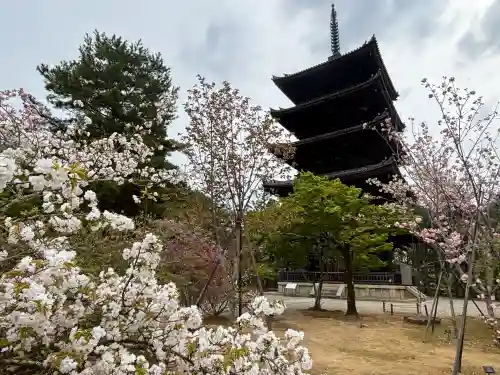 仁和寺(京都府)