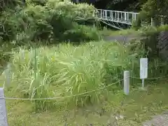 本牧神社(神奈川県)