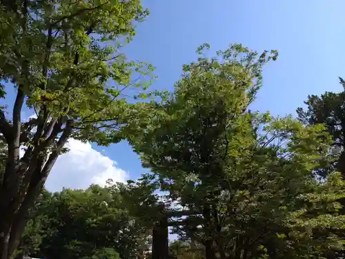 四柱神社(長野県)