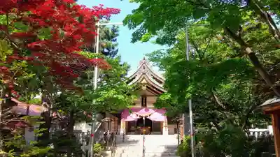 彌彦神社　(伊夜日子神社)の本殿・本堂