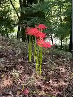 大宮温泉神社(栃木県)