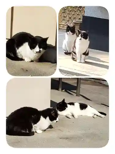 白金氷川神社(東京都)