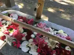 札幌伏見稲荷神社の手水