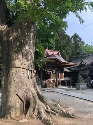 素鵞神社のその他建物