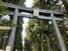 北口本宮冨士浅間神社の鳥居