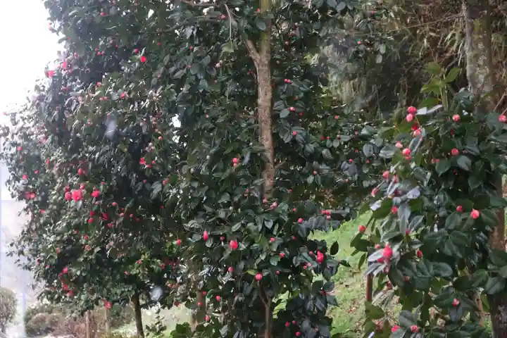 長屋神社の庭園