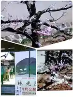 林光院(京都府)