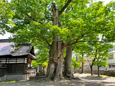 美和神社(長野県)