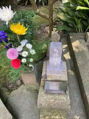 長光寺(神奈川県)