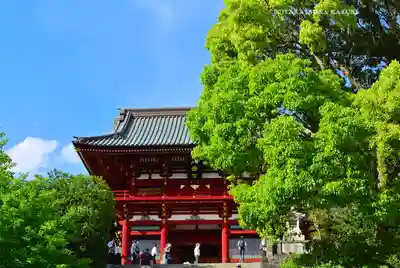 鶴岡八幡宮(神奈川県)