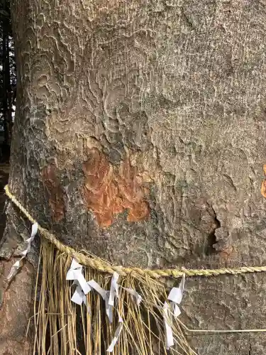 八幡神社の{uncategorized: "未分類", other: "その他", undefined: "問題あり", building: "その他建物", grave: "お墓", sacred_gate: "鳥居", guardian: "狛犬", statue: "像", buddha: "仏像", history: "歴史", nature: "自然", garden: "庭園", animal: "動物", pagoda: "塔", temizu: "手水舎", mountain_gate: "山門・神門", sanctuary: "本殿・本堂", subordinate: "末社・摂社", art: "芸術", scenery: "景色", jizo: "地蔵", ema: "絵馬", goshuin: "御朱印", omikuji: "おみくじ", items: "授与品その他", amulet: "お守り", goshuincho: "御朱印帳", eats: "食事", festival: "お祭り", votive_dance: "神楽", shichigosan: "七五三参", wedding: "結婚式", experience: "体験その他", initially: "初詣", around: "周辺", anti_infection: "感染症対策"}