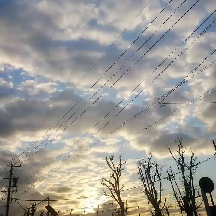 尾張大國霊神社(国府宮)(愛知県)