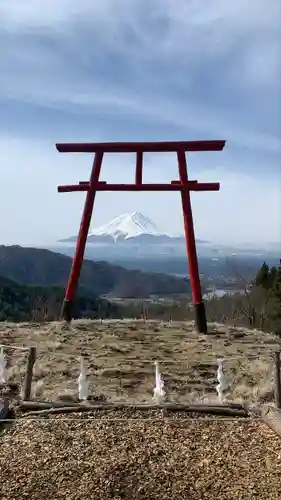 河口浅間神社の鳥居