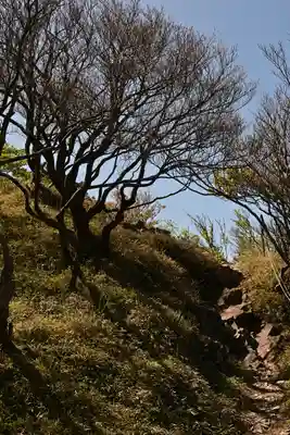 篠山神社(愛媛県)