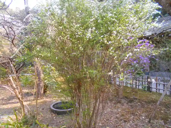 安國論寺(安国論寺)の庭園