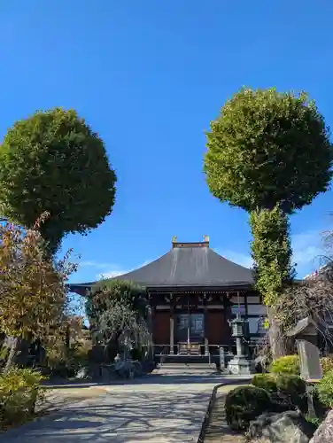 芳林寺(埼玉県)