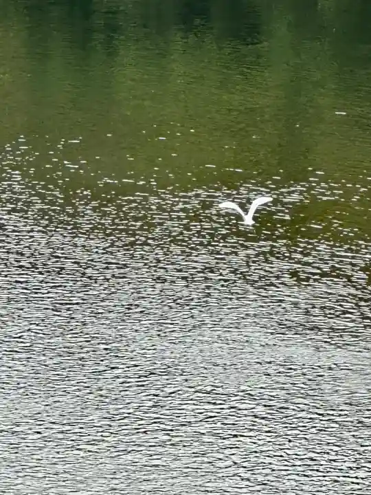 伊勢神宮内宮(皇大神宮)(三重県)