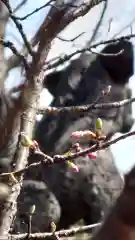 相馬神社の自然