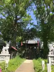 松尾神社の狛犬