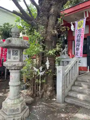 笠䅣稲荷神社(神奈川県)