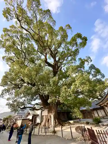 太宰府天満宮の自然
