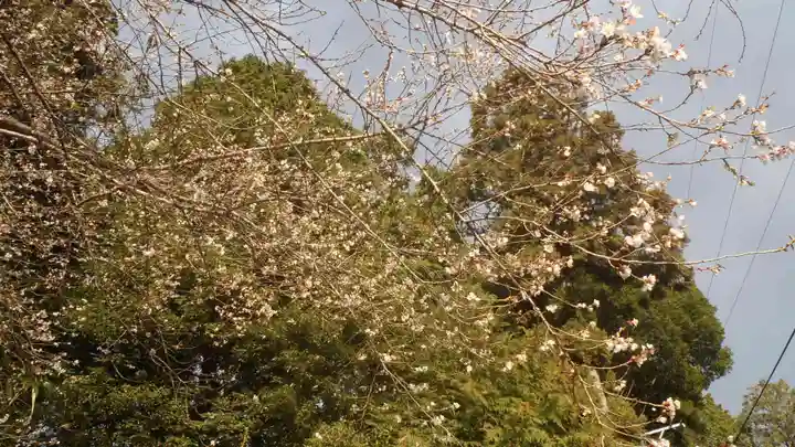 観音寺(愛知県)