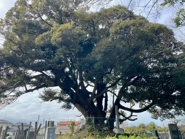 最勝院の{uncategorized: "未分類", other: "その他", undefined: "問題あり", building: "その他建物", grave: "お墓", sacred_gate: "鳥居", guardian: "狛犬", statue: "像", buddha: "仏像", history: "歴史", nature: "自然", garden: "庭園", animal: "動物", pagoda: "塔", temizu: "手水舎", mountain_gate: "山門・神門", sanctuary: "本殿・本堂", subordinate: "末社・摂社", art: "芸術", scenery: "景色", jizo: "地蔵", ema: "絵馬", goshuin: "御朱印", omikuji: "おみくじ", items: "授与品その他", amulet: "お守り", goshuincho: "御朱印帳", eats: "食事", festival: "お祭り", votive_dance: "神楽", shichigosan: "七五三参", wedding: "結婚式", experience: "体験その他", initially: "初詣", around: "周辺", anti_infection: "感染症対策"}