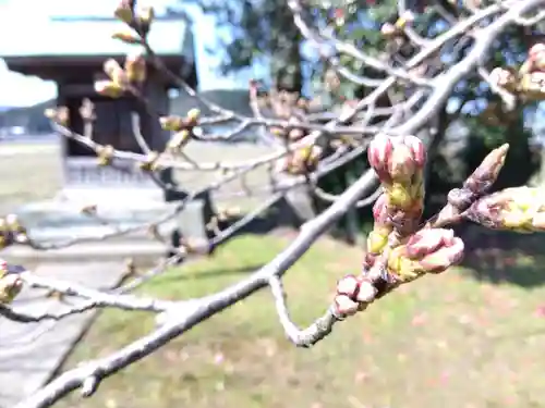 大日宮(福井県)