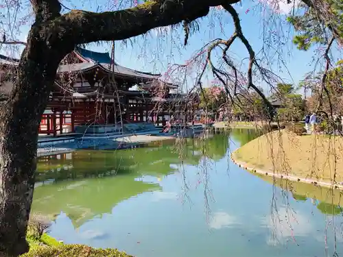 平等院の庭園