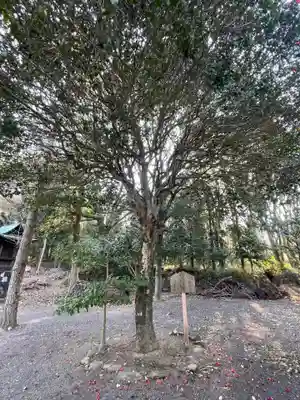 白峰宮(香川県)